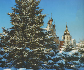 NewYR.jpg (25811 bytes)